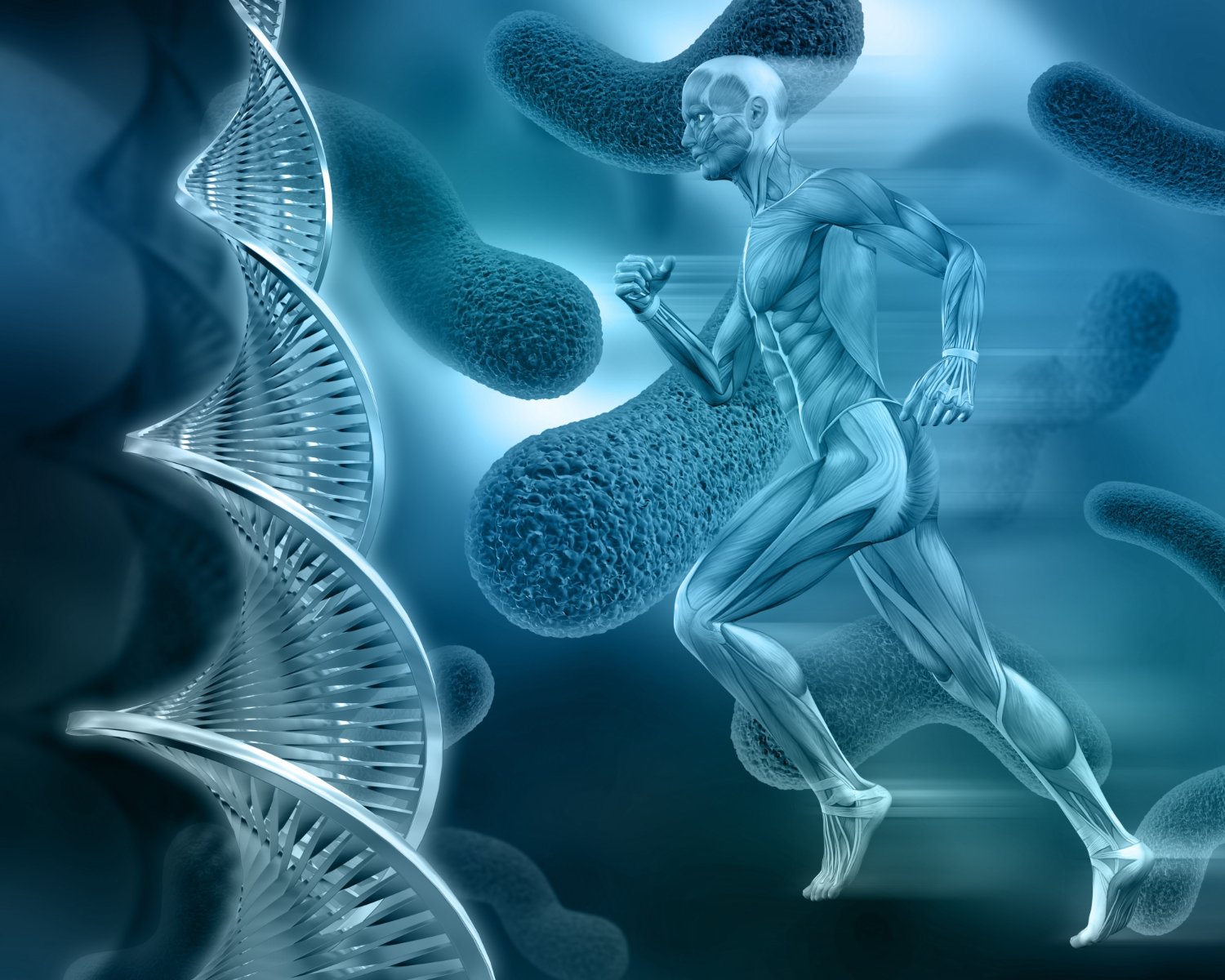 Hipertrofia-Muscular-A-Ciencia-por-Tras-do-Crescimento-Muscular
