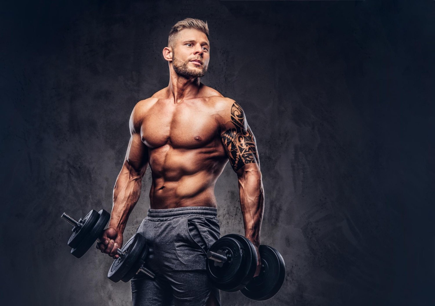 Musculação Guia Completo para Iniciantes e Avançados