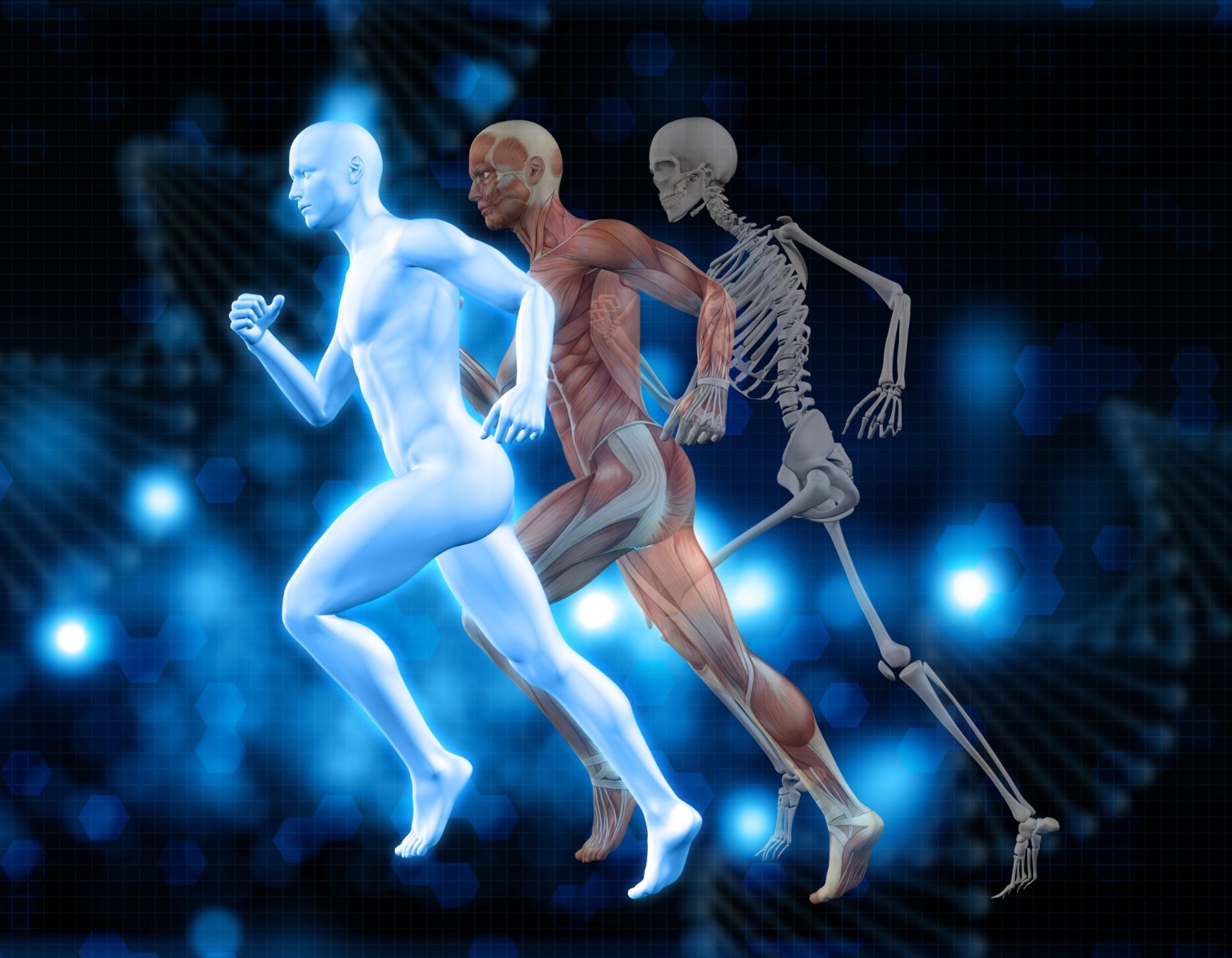 Desperte Seus Músculos Estratégias de Hipertrofia para Grupos Musculares em Foco