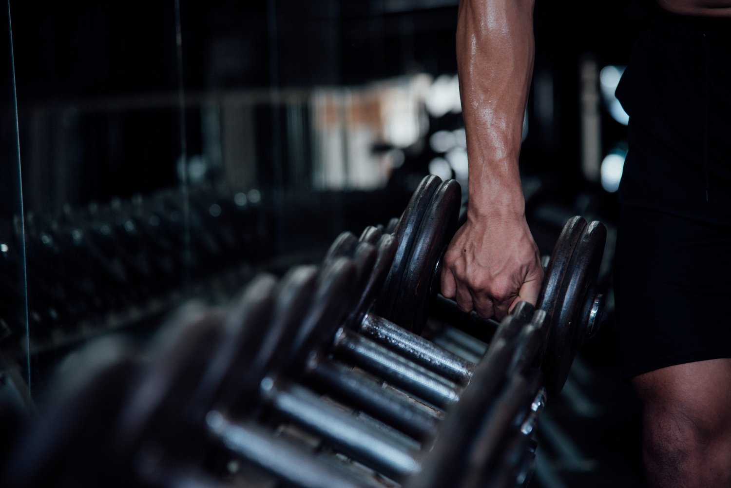 Quais são os 5 benefícios da musculação